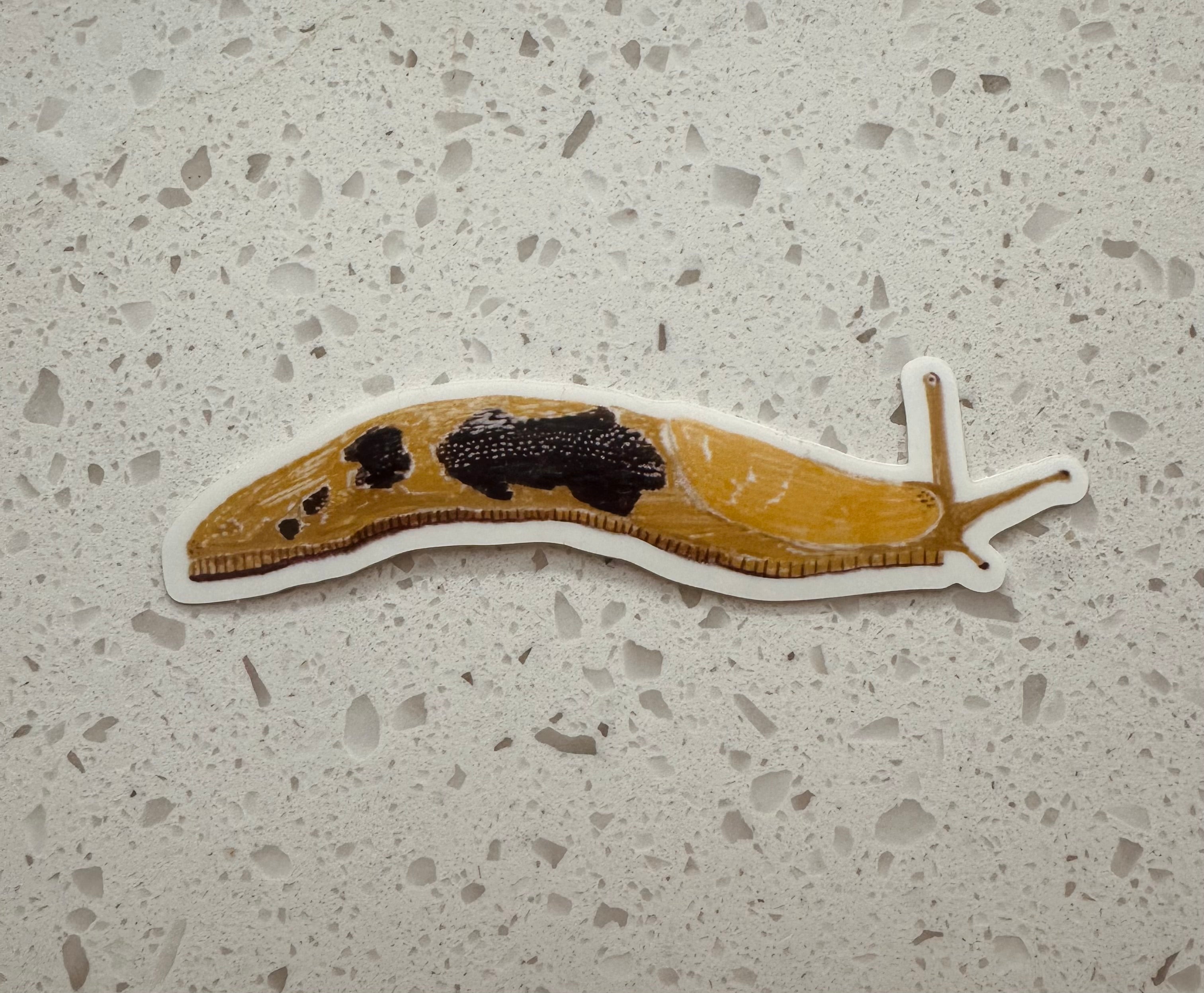 Banana Slug Sticker