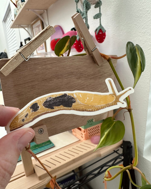 Banana Slug Sticker
